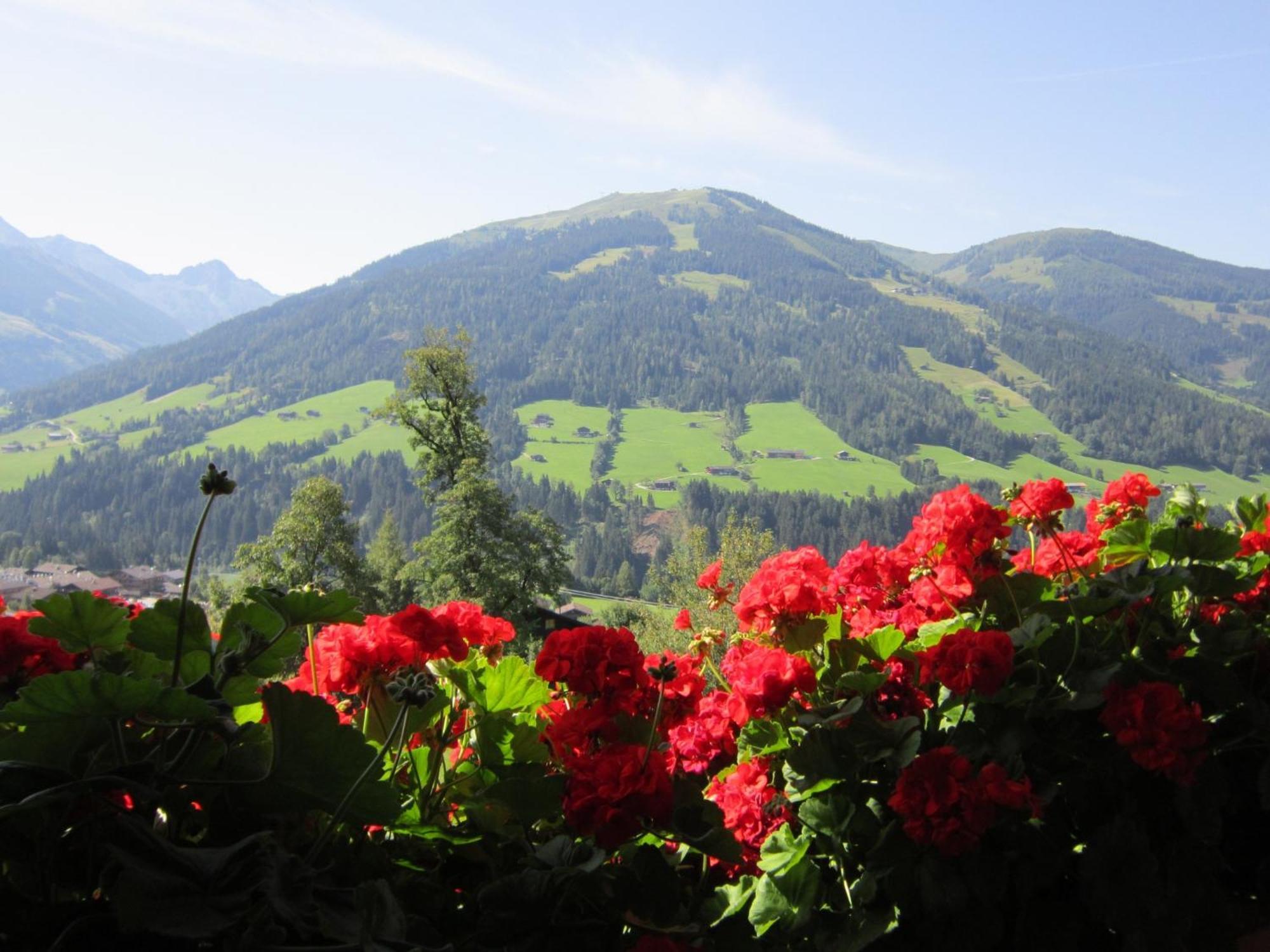Alpbachblick 아파트 외부 사진